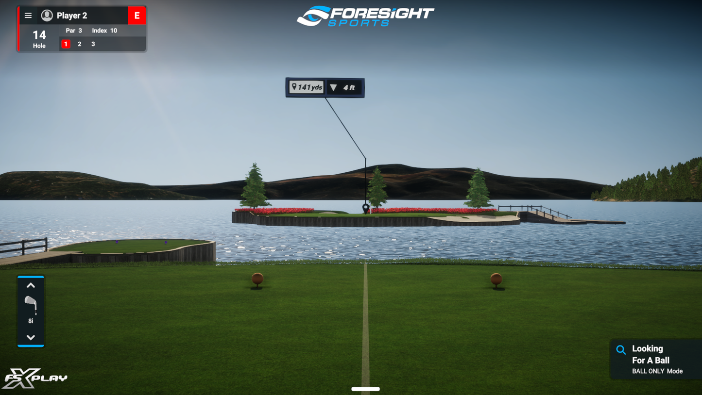 Virtual Golf Simulator (Two Hours)