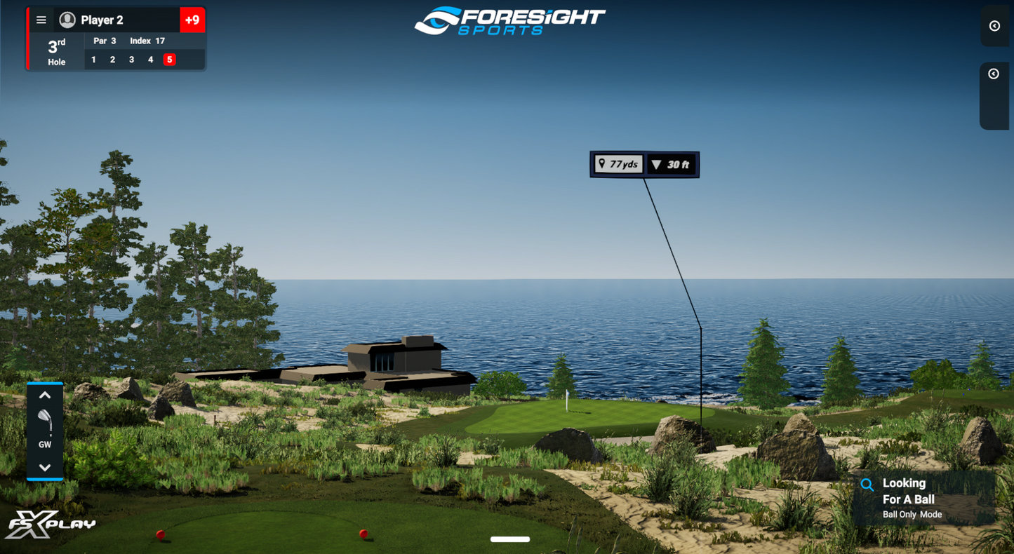 Virtual Golf Simulator (One Hour)